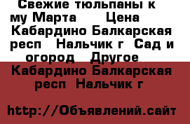 Свежие тюльпаны к 8 му Марта!!! › Цена ­ 45 - Кабардино-Балкарская респ., Нальчик г. Сад и огород » Другое   . Кабардино-Балкарская респ.,Нальчик г.